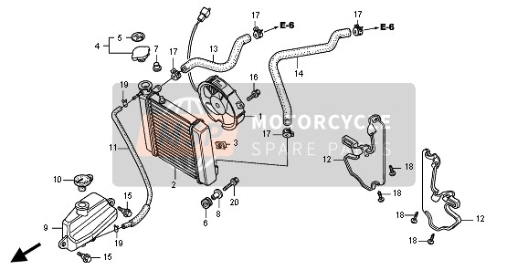 Honda FES150 2009 RADIATOR for a 2009 Honda FES150